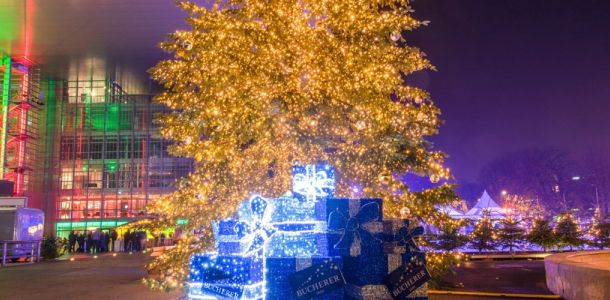 Christbäume für einen guten Zweck